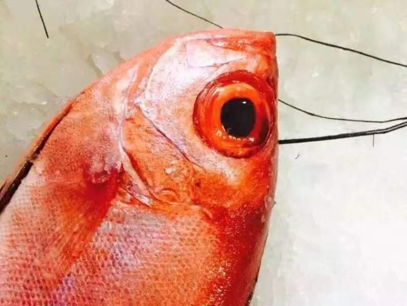 酒店菜品