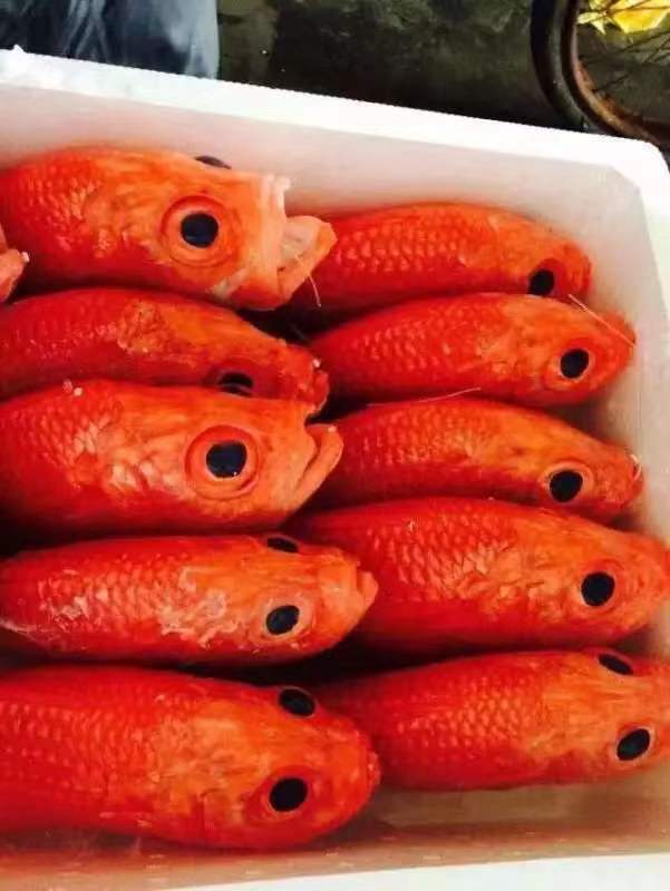 酒店菜品